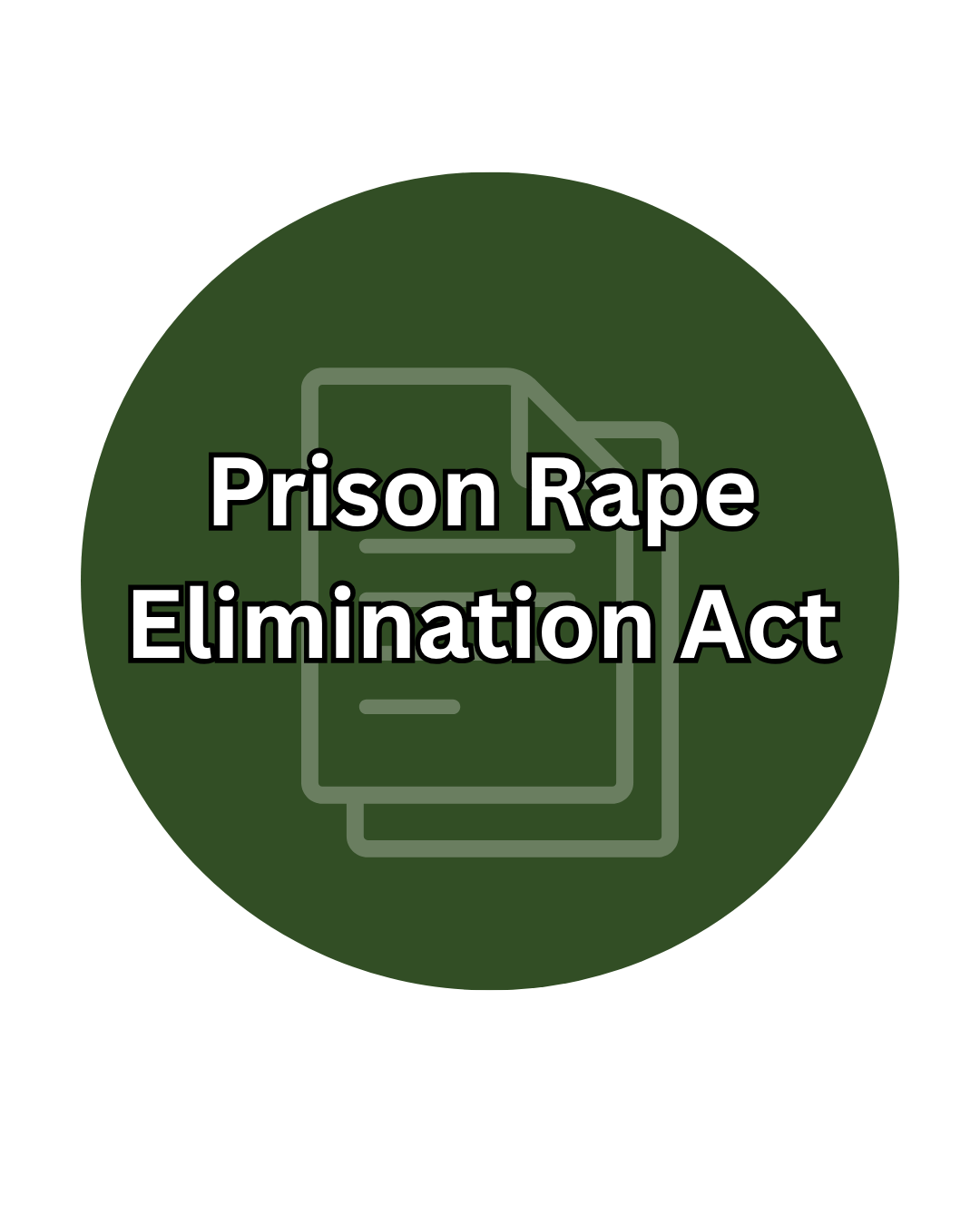 Prison Rape Elimination Act