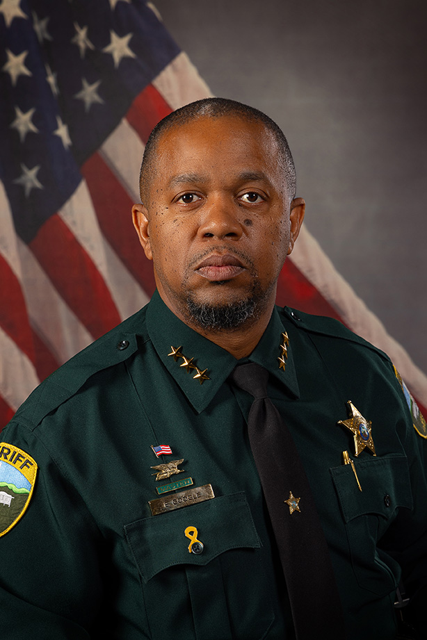 Assistant Sheriff Brice Google